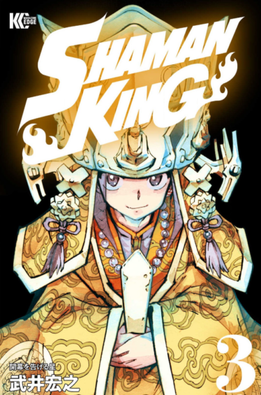 SHAMAN KING ～シャーマンキング～ KC完結版3巻を無料で読めるサイトはここしかない？zip・rar・漫画村は？ | なんでなぁん？ブログ